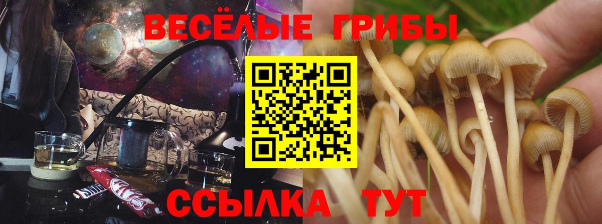 сколько стоит  Вход с VPN  Кирово-Чепецк  Псилоцибиновые грибы ЛСД 